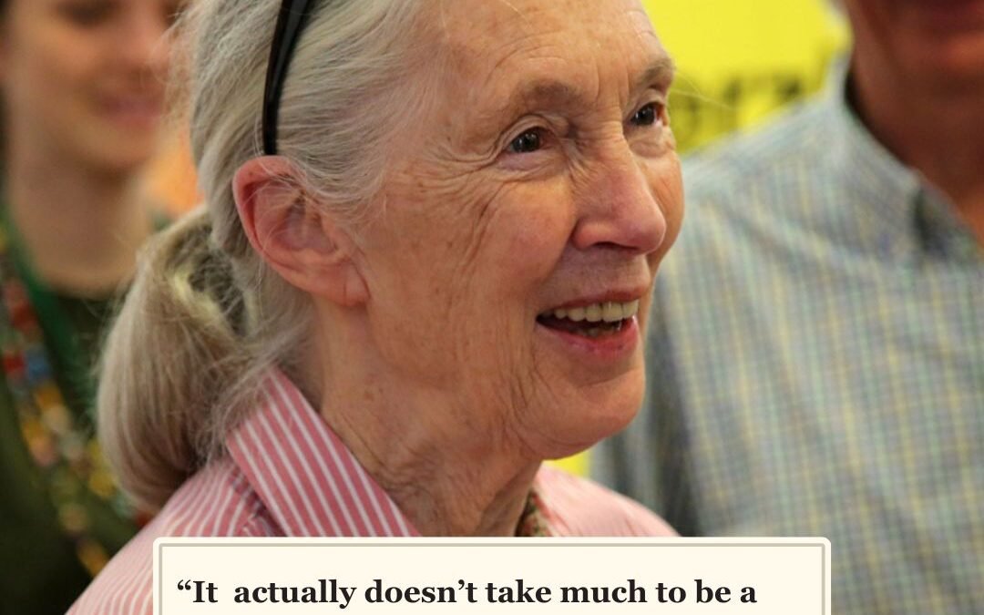 It Doesn’t Take Much to be a Difficult Woman
